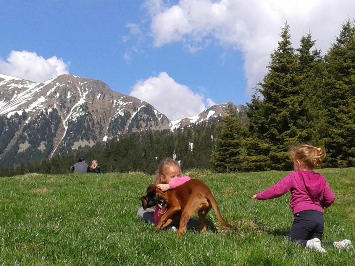 B&B Relais Dolomiti Bedollo Eksteriør bilde