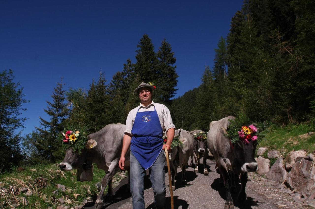 B&B Relais Dolomiti Bedollo Eksteriør bilde